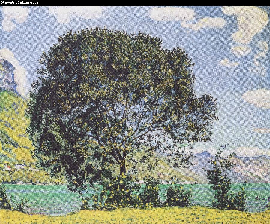 Ferdinand Hodler Baum am Brienzersee vom Bodeli aus